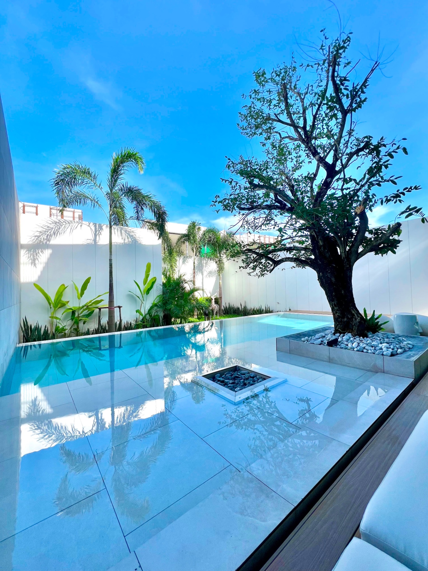 Reflective pool view with mature tree and white privacy walls